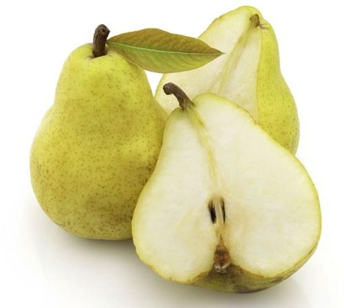 Organic Fresh Pear, Packaging Type : Carton/Wooden