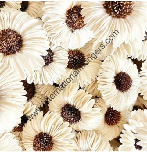 Sola Flowers For Home Decoration, Party Decoration