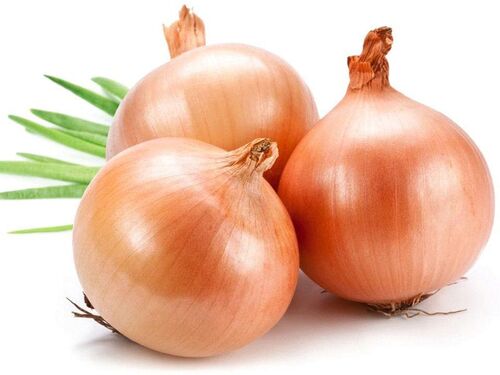 Organic Fresh Yellow Onion, For Human Consumption, Packaging Size : 25kg