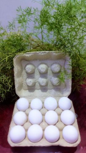12 Eggs Paper Pulp Tray Without Lock