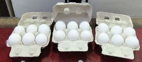 6 Eggs Paper Pulp Tray With Lock