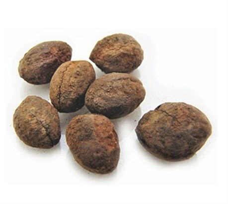 Baheda Whole Dry, For Asthma, Bile Duct Disorders, Nutraceutical, Poisonings, Scorpion Stings, Purity : 98%