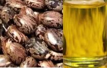 Natural Castor Oil, For Cosmetics, Medicines, Form : Liquid