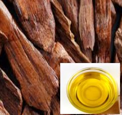 Natural Sandalwood Oil, Shelf Life : 2 Years