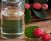 Wintergreen Oil, Purity : 90%