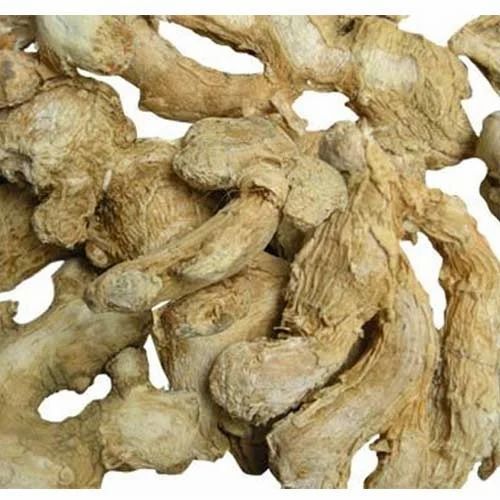 Dry Ginger, Variety : Sagar