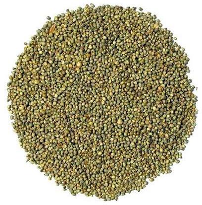 Organic Pearl Millet Seeds, Packaging Type : Gunny Bag