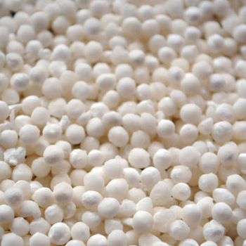 Organic Sago Seeds, Feature : Gluten Free, High Energy Booster