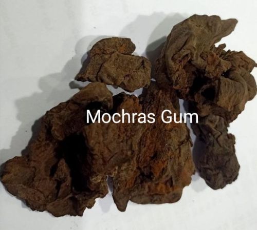 Mochras Gum (bombax Ceiba)