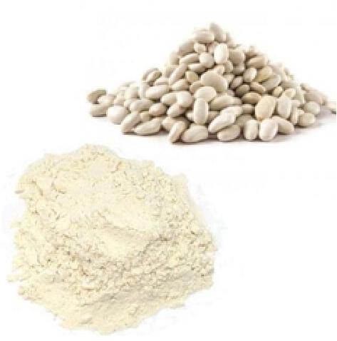 White Kidney Bean Extract, For Medicinal, Food Additives, Form : Powder