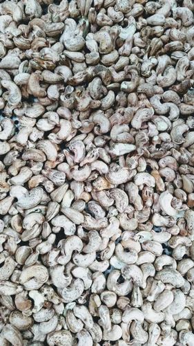 NW Whole Cashew Nut, Taste : Light Sweet