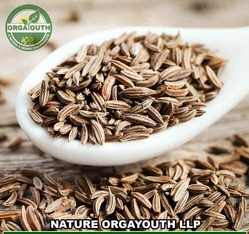 Organic Cumin Seed, Packaging Size : 25 Kg