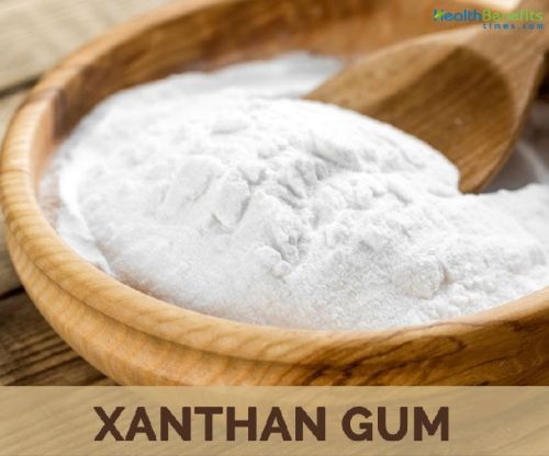 Xanthan Gum, Shelf Life : 2 Years