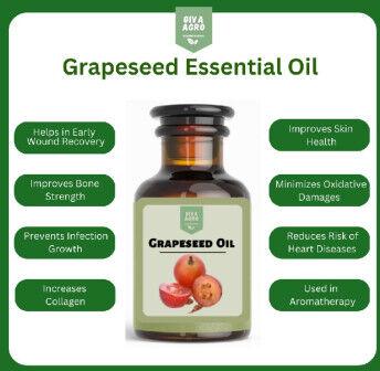 Giva Agro Grapeseed Oil