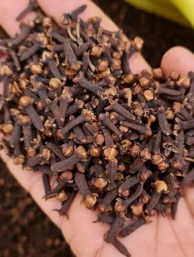 Organic Dry Clove, Color : Brown