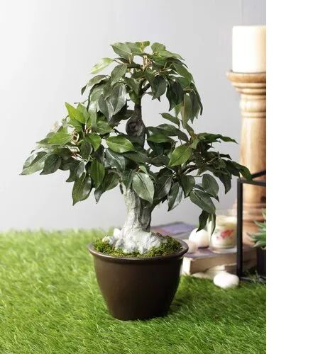 Artificial Bonsai Plant, For Home Office Garden, Color : Green