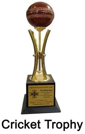 500-1000 G Brass Cricket Trophy