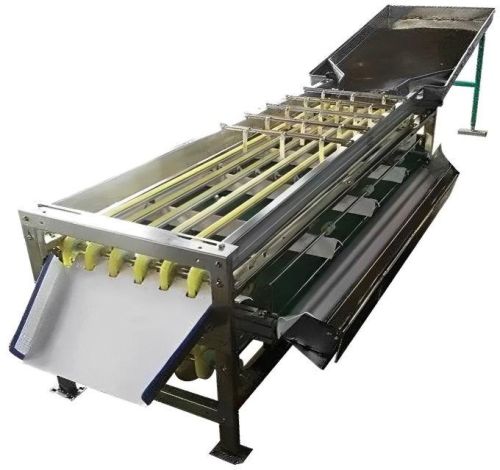 Silver Automatic Fruit Sorting Grading Machine