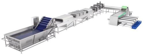 Mango Sorting and Grading Line, Color : Silver