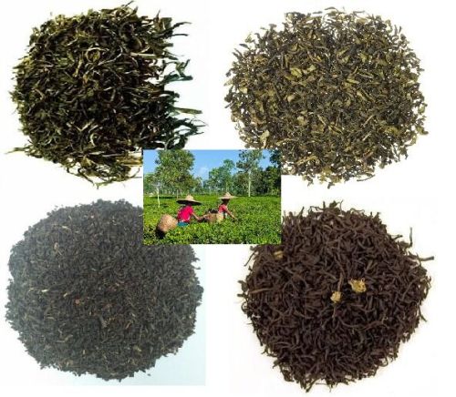 Organic Fresh Green Tea, For Home, Office, Restaurant, Hotel, Grade Standard : Food Grade