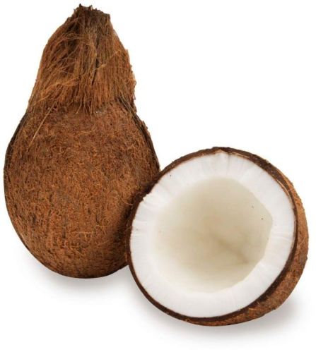 Hard Organic Fresh Coconut, For Pooja, Medicines, Cosmetics, Color : Brown