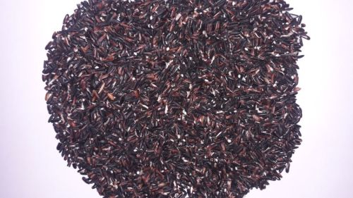 Hard Natural Black Rice, For Human Consumption, Food, Packaging Size : 25 Kg