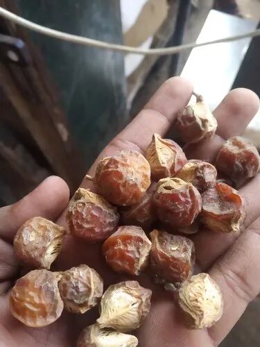 Dry Soapnut, Packaging Type : Packet