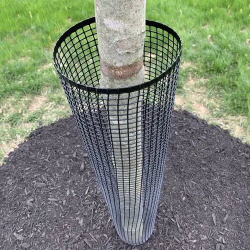 Mild Steel Tree Guard