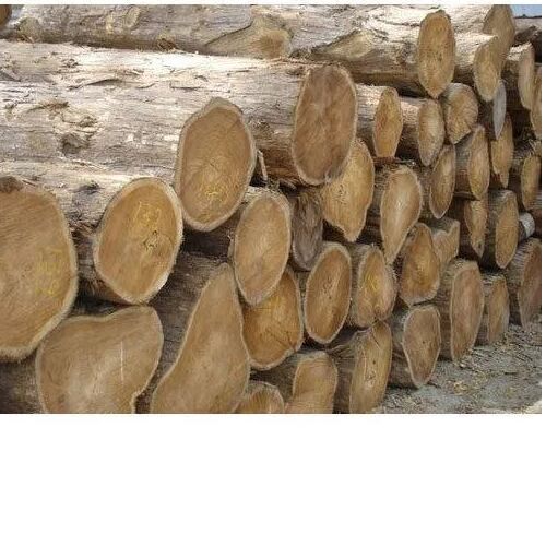 Rose Wood Log, Shape : Round