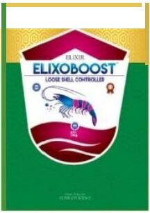 Elixoboost Loose Shell Controller, Form : Powder