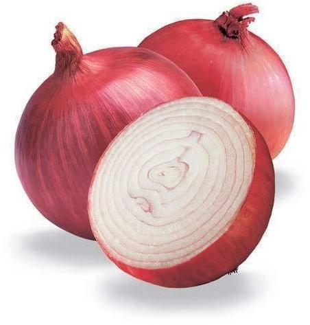 Reddish Organic Fresh Onion, For Snacks, Fast Food, Cooking, Packaging Type : Gunny Bags