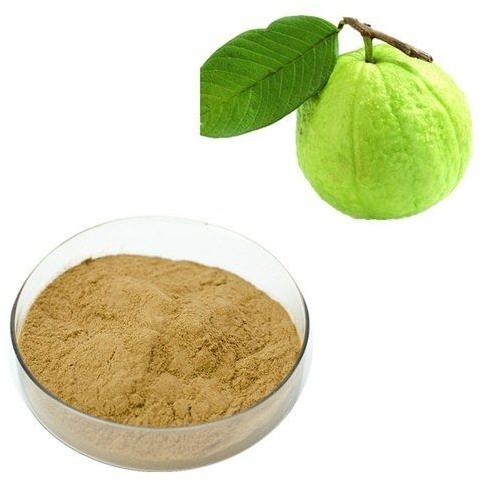 Natural Spray Dried Guava Powder, For Shake, Juice, Ice Cream, Packaging Size : 500g To 25kg