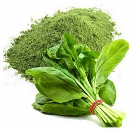 Organic Spray Dried Spinach Powder, For Cooking, Packaging Size : 500g To 25kg