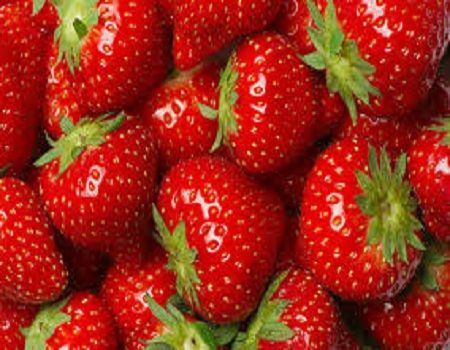Common fresh strawberry, Packaging Type : Red