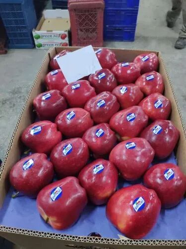 Red Apple