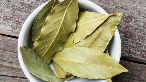 Bay Leaves