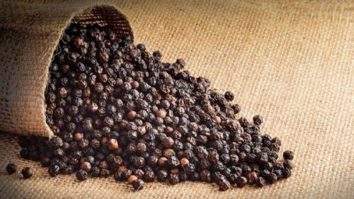 Organic Black Pepper, For Cooking, Spices, Form : Seeds