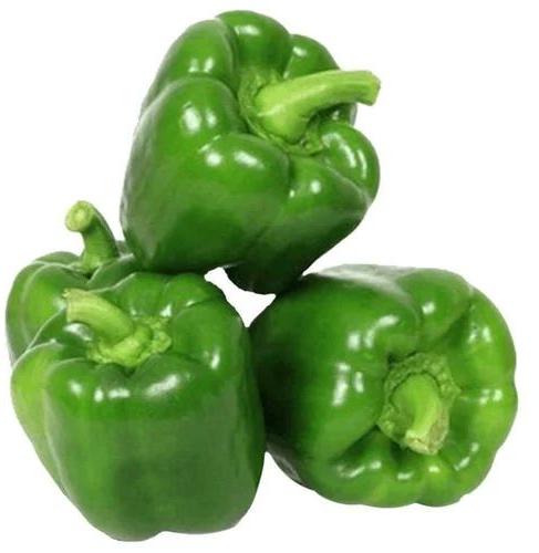 Fresh Green Capsicum, For Cooking, Human Consumption, Shelf Life : 5-7 Days