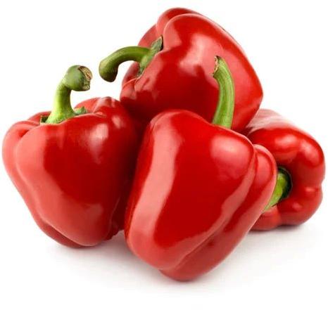 Fresh Red Capsicum, For Cooking, Human Consumption, Shelf Life : 5-7 Days