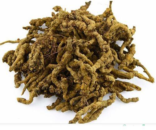 Berberis Aristata Roots, For Medicinal, Grade : Pharmaceutical Grade