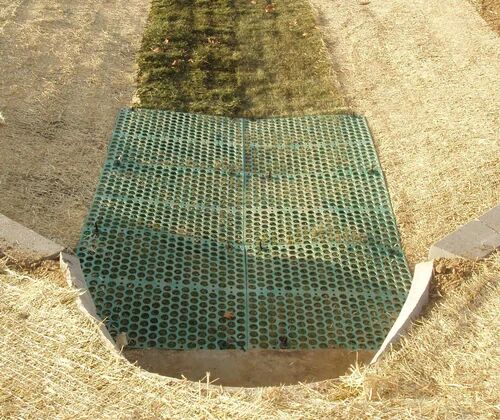 Green PP Erosion Control Mat, Length : 50 M/roll