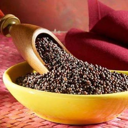 Natural Mustard Seeds, For Spices, Specialities : Rich In Taste, Long Shelf Life
