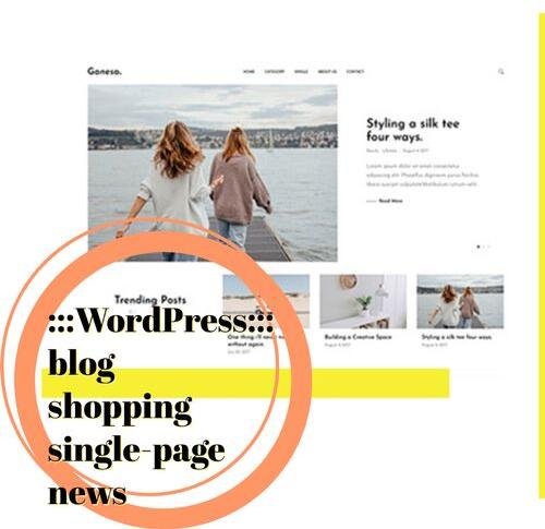 WordPress Website CMS Development Services