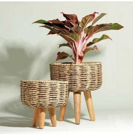 Jute Planter