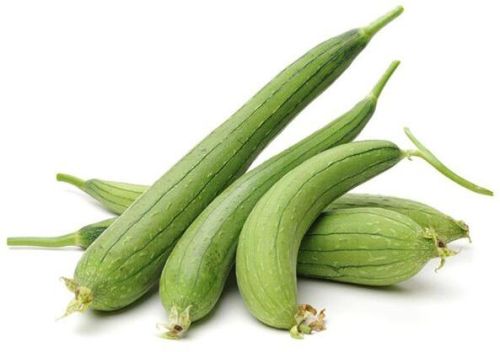 Fresh Sponge Gourd