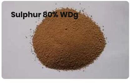 Sulphur 80% WDG Powder, Purity : 100%