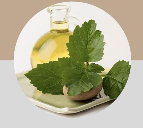 Patchouli Oil (Essential Oil), Form : Liquid