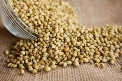 Natural Coriander Seeds, Certification : FSSAI Certified