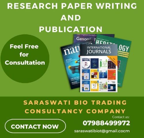 Research Paper Writing Service