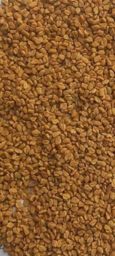 Raw Common Fenugreek Seed, For Food Medicine, Form : Granules